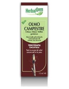 Olmo Campestre Macerado Glicerinado 50Ml.