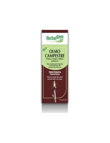 Olmo Campestre Macerado Glicerinado 50Ml.