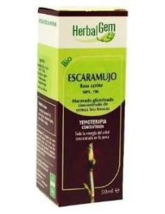 Escaramujo (Rosal Silv) Macerado Glicerinado 50Ml.