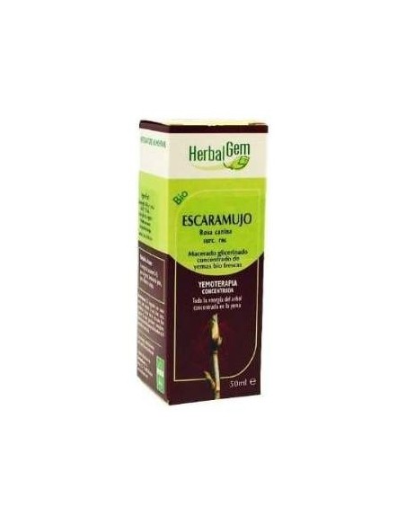 Escaramujo (Rosal Silv) Macerado Glicerinado 50Ml.