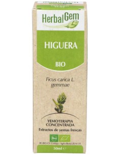 Higuera Macerado Glicerinado 50Ml.