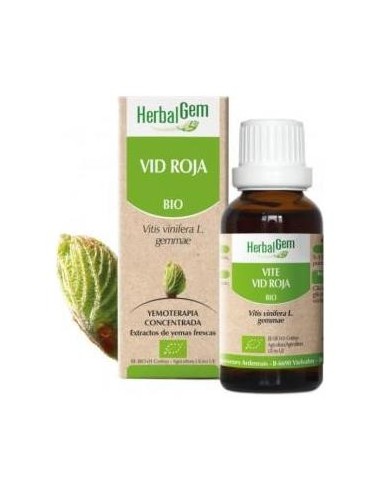 Vid Roja Macerado Glicerinado 50Ml.