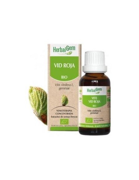 Vid Roja Macerado Glicerinado 50Ml.