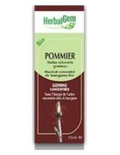 Manzano Silvestre Macerado Glicerinado 50Ml.