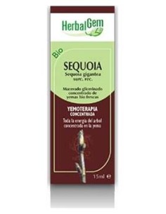 Sequoia Macerado Glicerinado 50Ml.