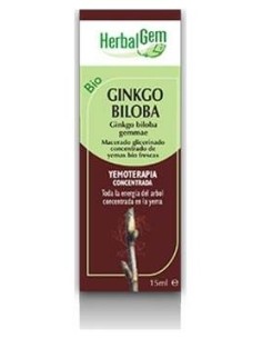 Ginkgo Biloba Macerado Glicerinado 50Ml.