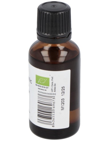 Terpenic Romero Alcanfor Aceite Esencial 30Ml