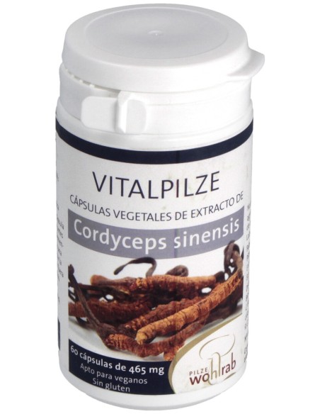 Pilze Wolhrab Cordyceps 60Caps
