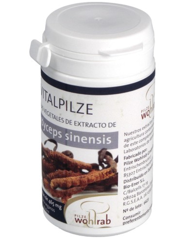 Pilze Wolhrab Cordyceps 60Caps