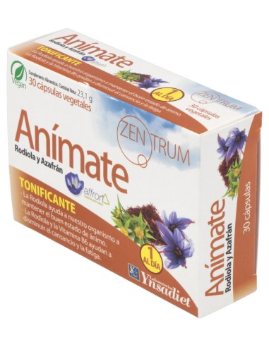 Ynsadiet Animate Zentrum 30Caps