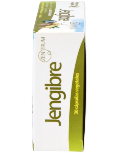 Ynsadiet Jengibre Zentrum Veg 30Caps