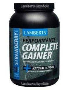 Complete Garnier Sabor Fresa 1,8Kg.