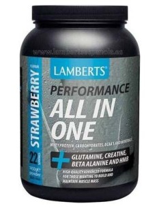 Lamberts All-In-One. Batido Sabor A Fresa 1,450 Kg