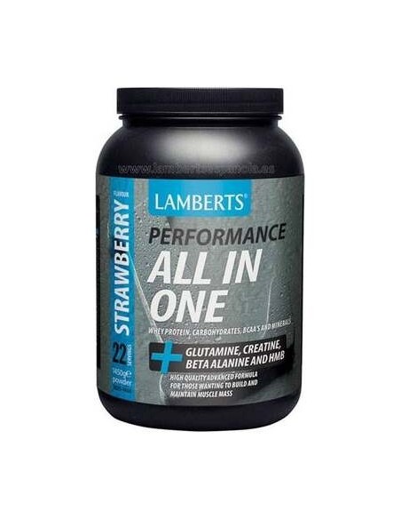 Lamberts All-In-One. Batido Sabor A Fresa 1,450 Kg