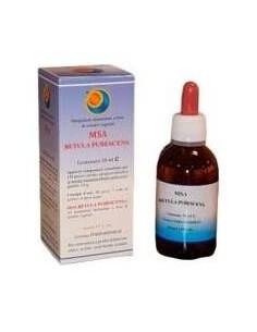 Herboplanet Msa Betula Pubencens 50Ml
