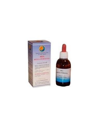 Herboplanet Msa Betula Pubencens 50Ml