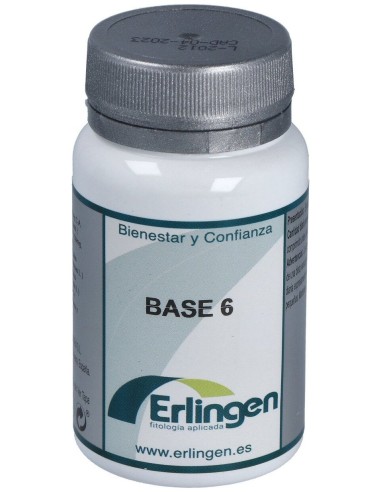 Erlingen Base 6 60 Cpr