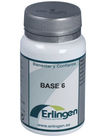 Erlingen Base 6 60 Cpr