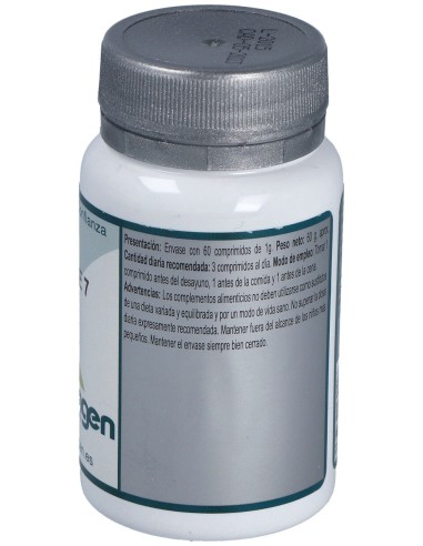 Erlingen Base 07 60Comp