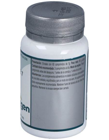 Erlingen Base 07 60Comp