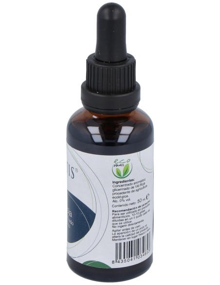 Plantis Extracto Vid Roja Sin Alcohol Eco 50Ml