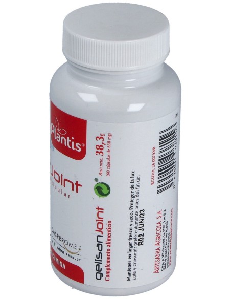 Gelisan Joint 60Cap.