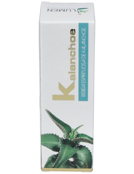 Kalanchoe 30Ml.