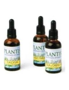 Plantis Extracto De Boldo Con Alcohol 50Ml