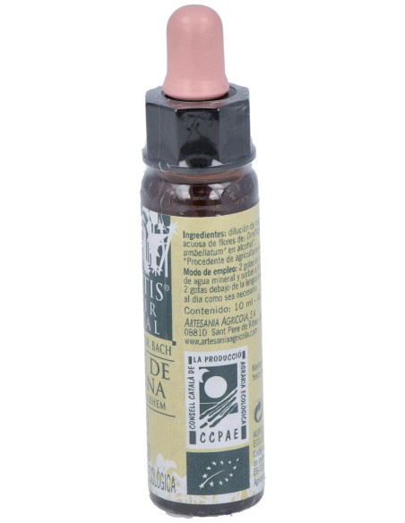 Star Of Bethlehem Plantis Flores De Bacnº 29 10Ml.