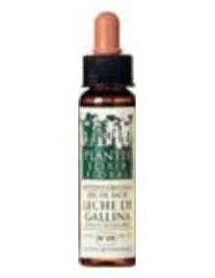 Wild Oat Plantis Flores De Bach Nº 36 10Ml.