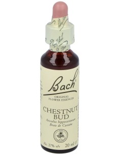 Flores Bach Chestnut Bud Brote Castaño 20Ml.