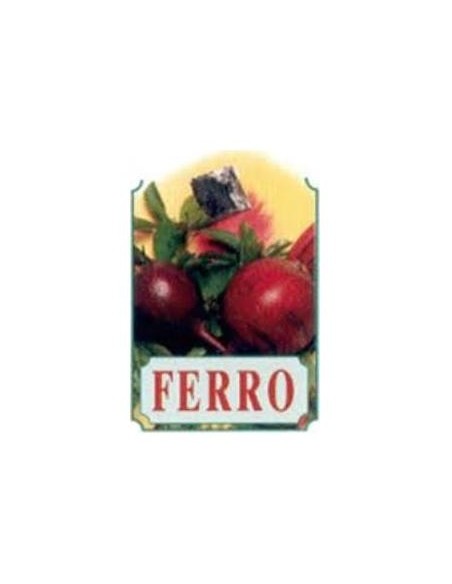 Xer22 Ferro Jarabe 250Ml