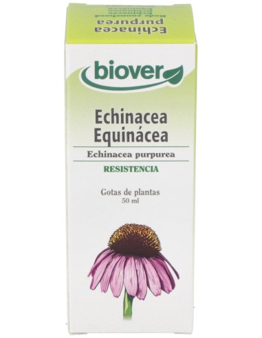 Ext. Echinacea Purpurea (Echinacea) 50Ml.