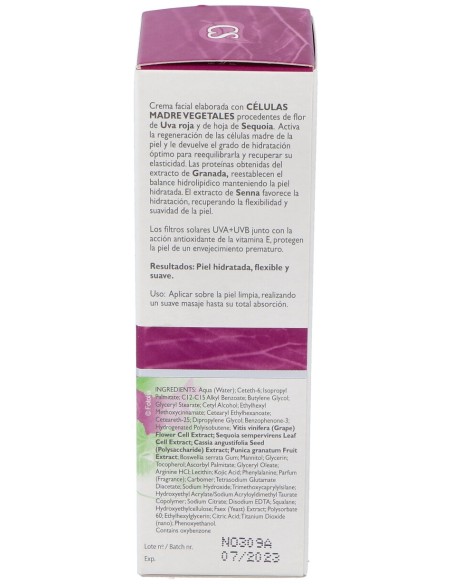 Crema Hidratante Piel Seca Celulas Madre 50Ml.