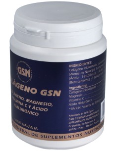 Colageno Gsn Con Acido Hialuronico Naranja 340Gr.