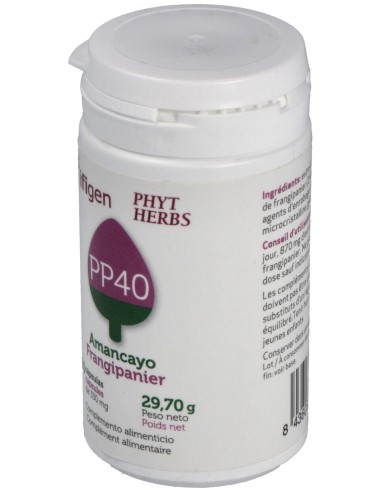 Ifigen Pp40 90 Cápsulas