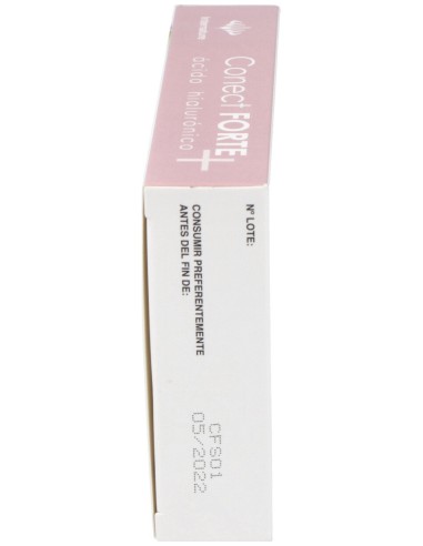 Internature Conect Forte 60Cap