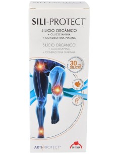 Dietéticos Intersa Sili Protect Líquido 500Ml