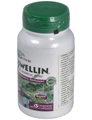 Boswellin 300Mg. 60Cap. Herbal Actives