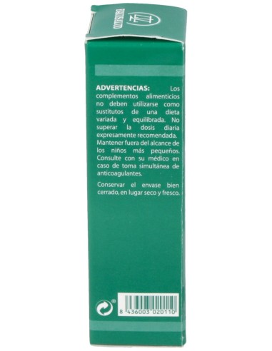 Pai-11 Holopai (Circulacion Cerebral)