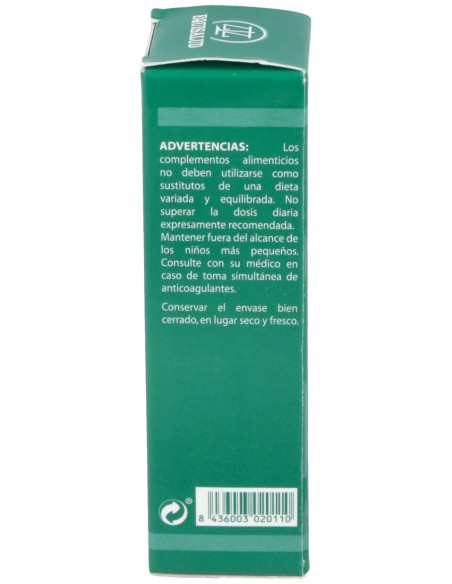 Pai-11 Holopai (Circulacion Cerebral)