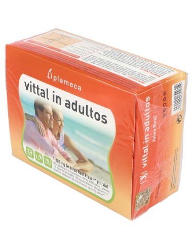 Vital In Adultos Jalea Real 20Amp