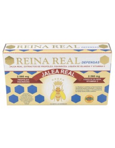 Robis Reina Real Defensas 20 Viales