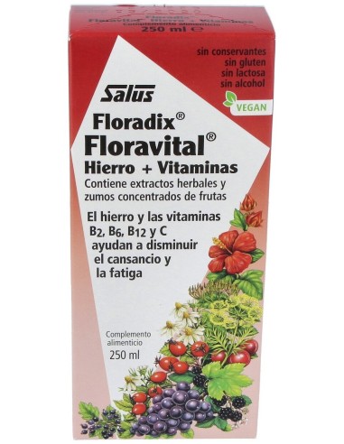 Floradix® Floravital® Hierro+Vitaminas 250Ml