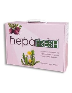 Hepa Fresh Sistema Pack Schoenenberger