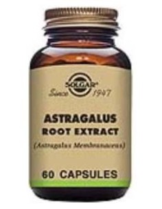 Astragalus-Raiz-(Astragalus Membranac.) 60Ve