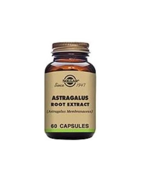 Astragalus-Raiz-(Astragalus Membranac.) 60Ve