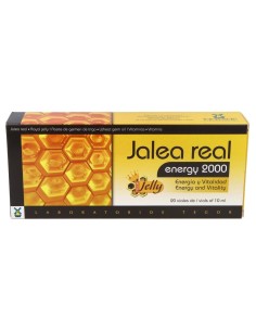Tegor Energy 2000 Jalea Real 20Amp