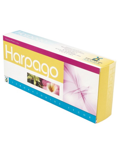 Tegor Harpago 20 Viales 10Ml