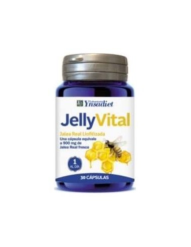 Ynsadiet Jelly Vital 300Mg Jalea Liofilizada...